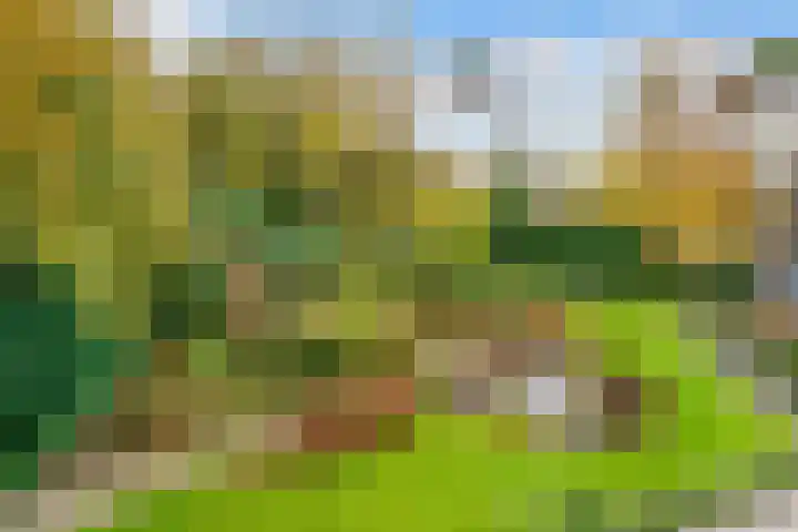 Paltzerweg 254 Den Dolder thumbnail 22