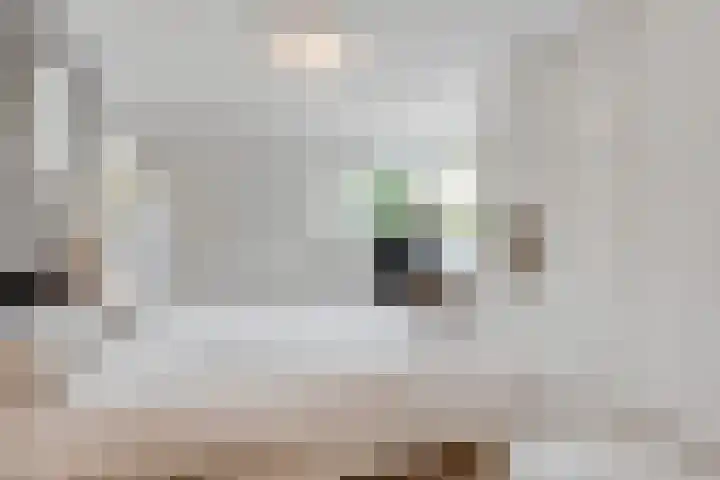 Paltzerweg 254 Den Dolder thumbnail 24