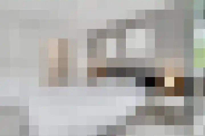 Paltzerweg 254 Den Dolder thumbnail 27
