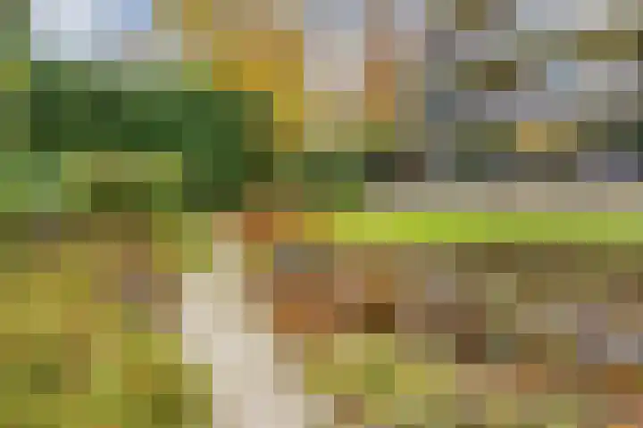 Paltzerweg 254 Den Dolder thumbnail 35