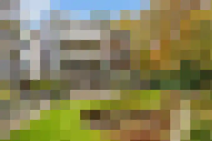 Paltzerweg 254 Den Dolder thumbnail 36