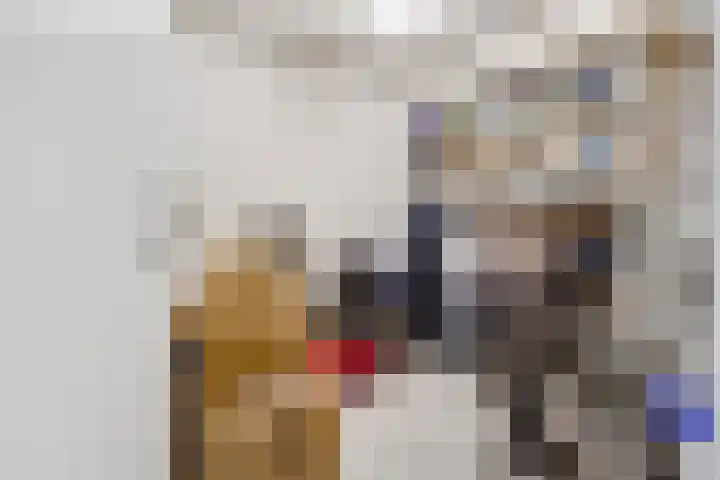 Paltzerweg 254 Den Dolder thumbnail 40