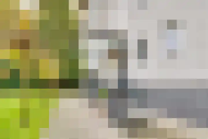 Paltzerweg 254 Den Dolder thumbnail 43