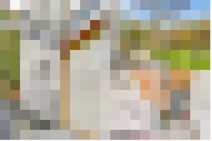 Paltzerweg 254 Den Dolder thumbnail 45