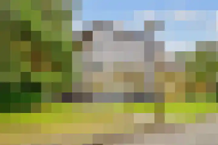 Paltzerweg 254 Den Dolder thumbnail 47