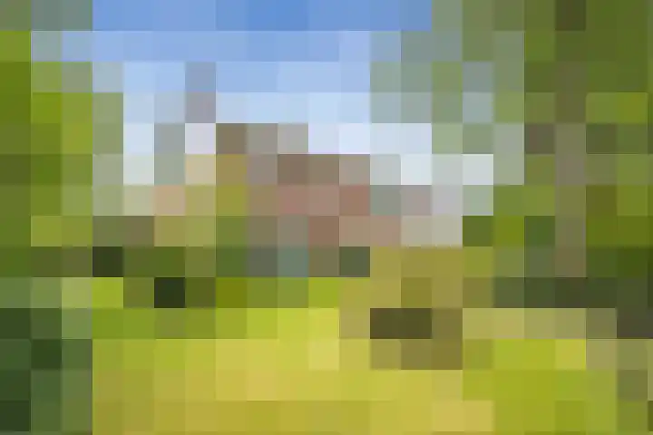 Paltzerweg 82 dans Bilthoven