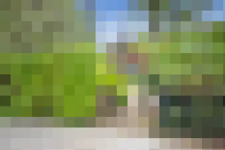 Paltzerweg 82 Bilthoven thumbnail 4