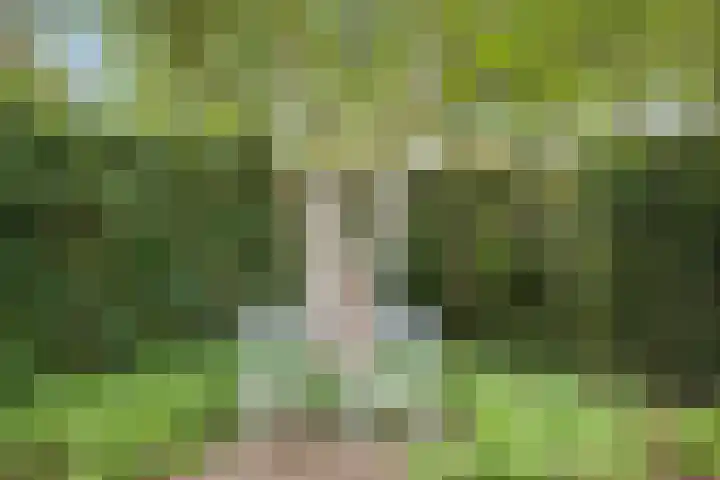 Paltzerweg 82 Bilthoven thumbnail 44
