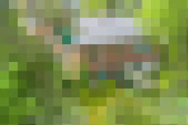 Paltzerweg 82 Bilthoven thumbnail 45