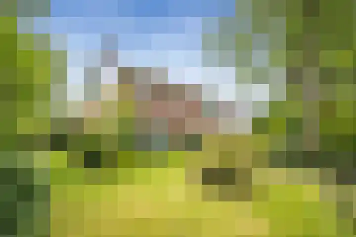Paltzerweg 82 Bilthoven thumbnail 52
