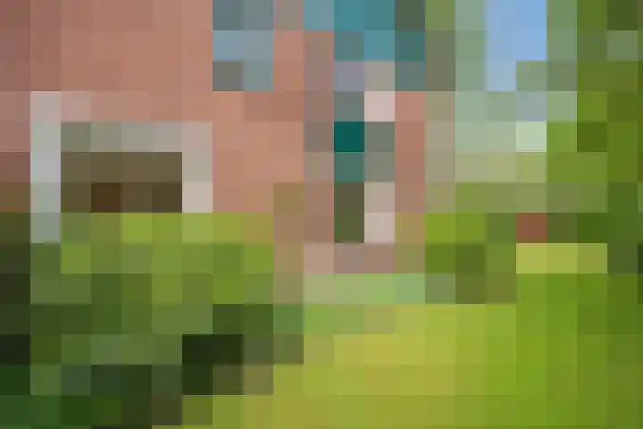 Paltzerweg 82 Bilthoven thumbnail 6