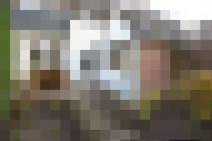 Paltzerweg 87 Bilthoven thumbnail 19