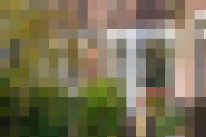 Paltzerweg 87 Bilthoven thumbnail 22