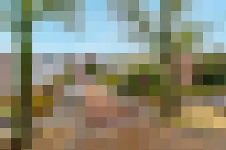 Pampus 2 Amstelveen thumbnail 31