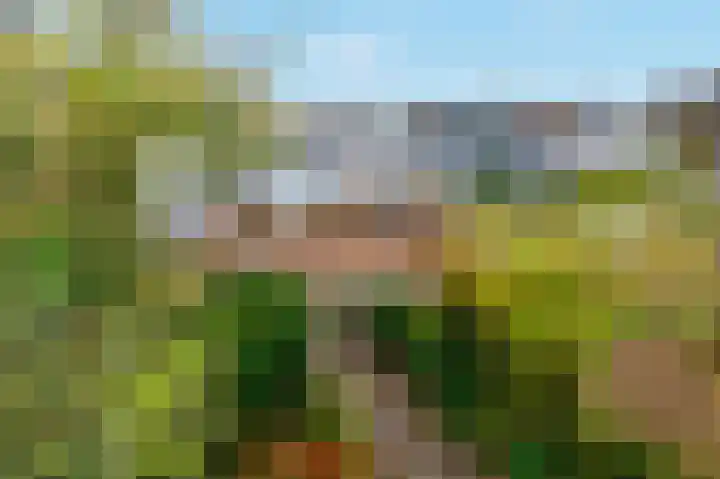 Pampus 2 Amstelveen thumbnail 32