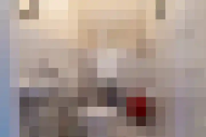 Panakker 2 Kaatsheuvel thumbnail 18
