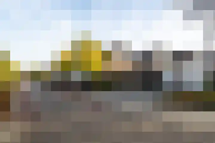 Panakker 2 Kaatsheuvel foto 2