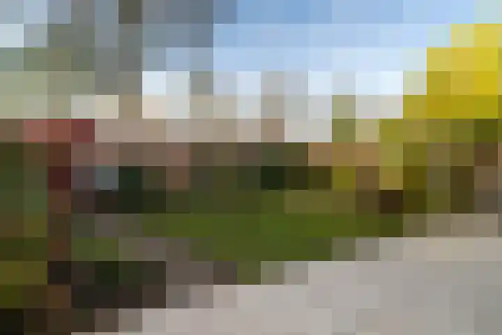 Panakker 2 Kaatsheuvel thumbnail 29