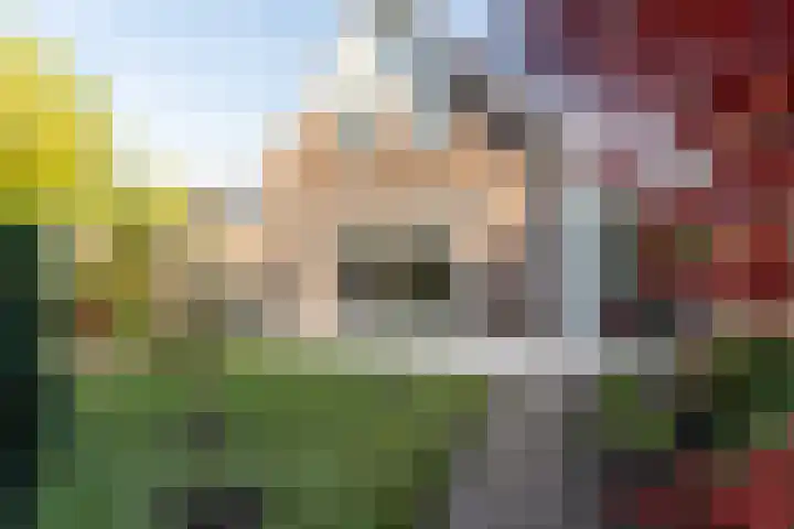 Panakker 2 Kaatsheuvel thumbnail 30