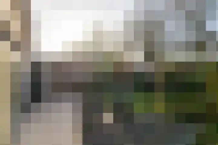 Panakker 2 Kaatsheuvel thumbnail 31