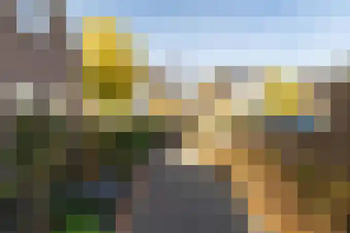Panakker 2 Kaatsheuvel thumbnail 4