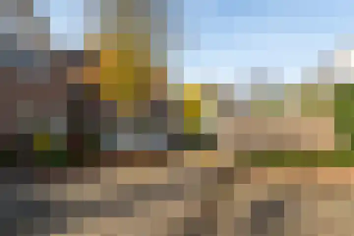 Panakker 2 Kaatsheuvel thumbnail 5