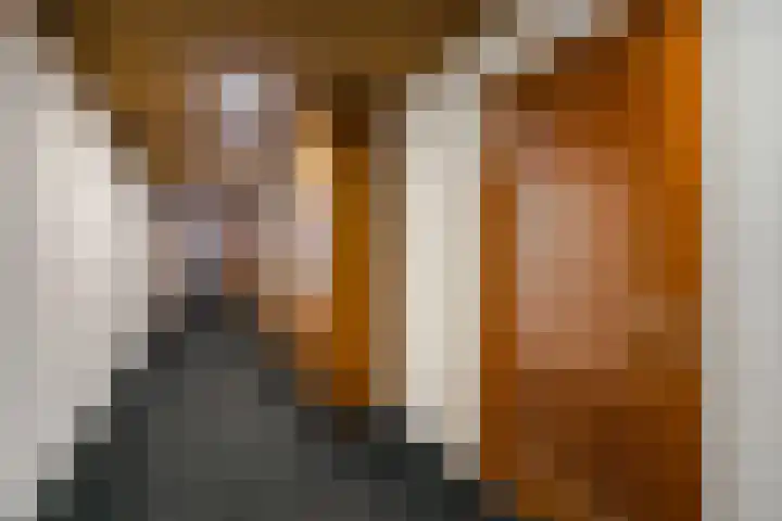 Panamalaan 162 Amsterdam thumbnail 53