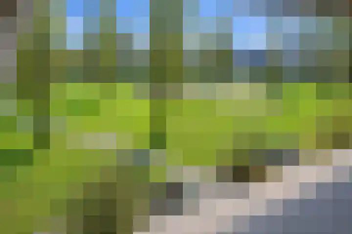 Panamalaan 244 Amsterdam thumbnail 11
