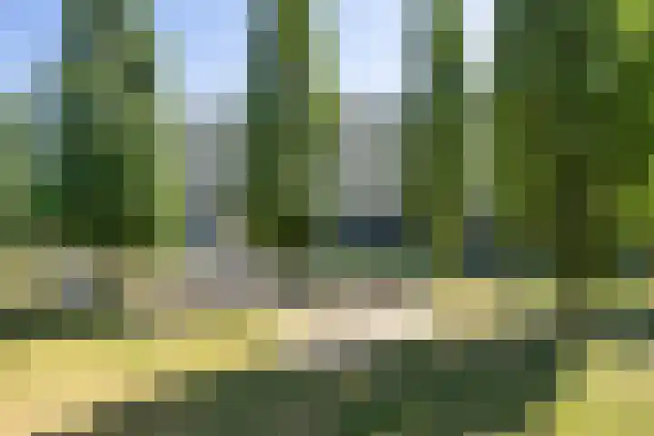 Panamalaan 244 Amsterdam thumbnail 23