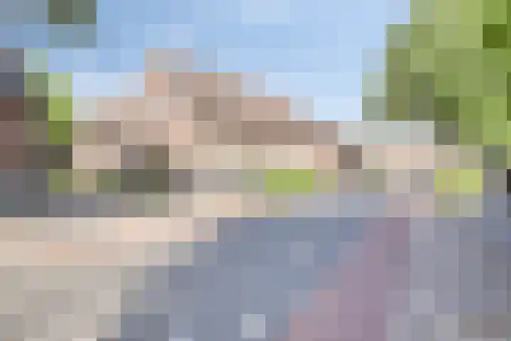 Pandelaar 50 Gemert thumbnail 11