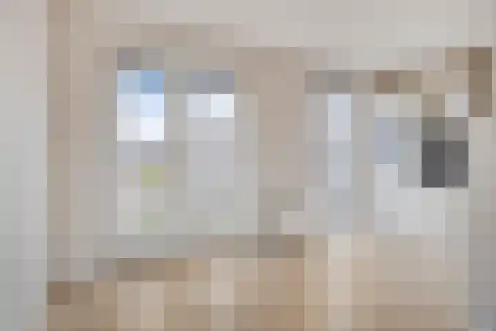 Pandelaar 50 Gemert thumbnail 12