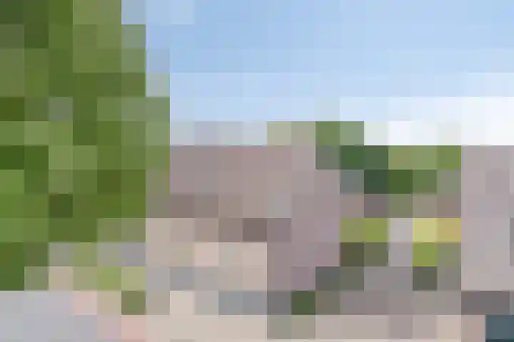 Pandelaar 50 Gemert thumbnail 13