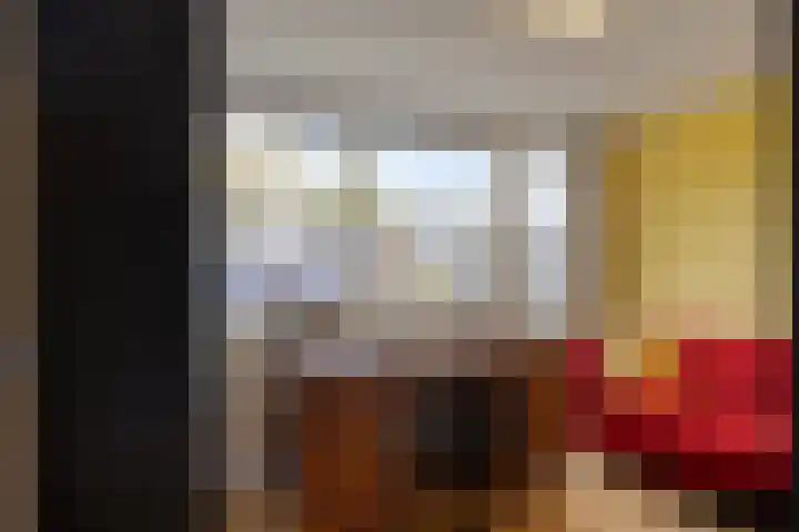 Pandelaar 50 Gemert thumbnail 16