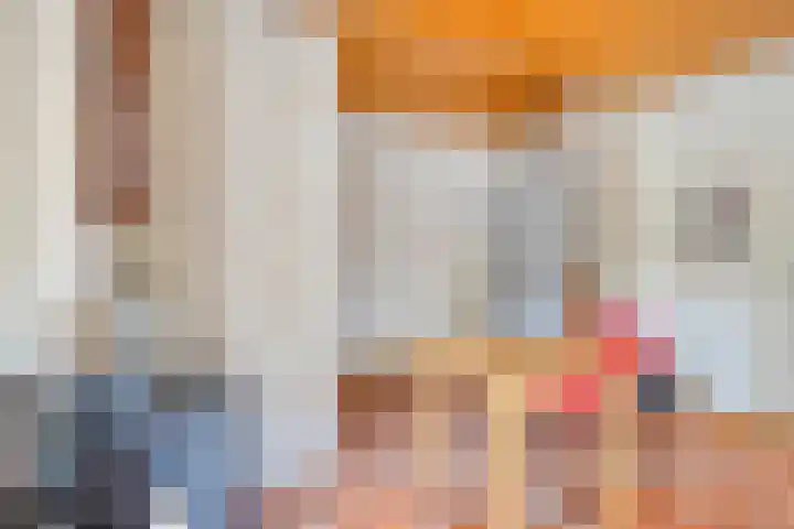 Pandelaar 50 Gemert thumbnail 17