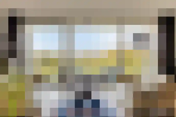 Pandelaar 50 Gemert thumbnail 18