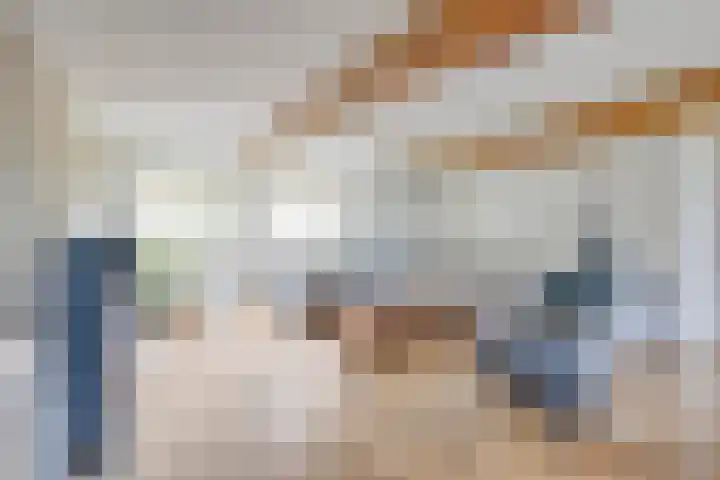 Pandelaar 50 Gemert thumbnail 21