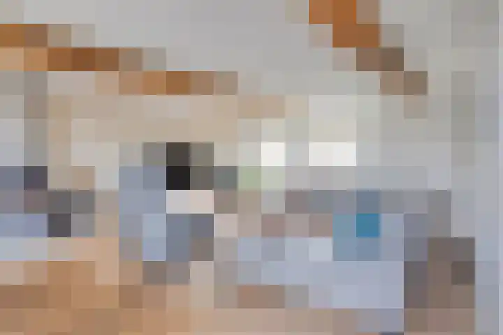 Pandelaar 50 Gemert thumbnail 22