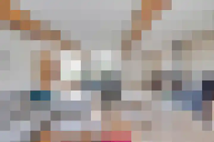 Pandelaar 50 Gemert thumbnail 23
