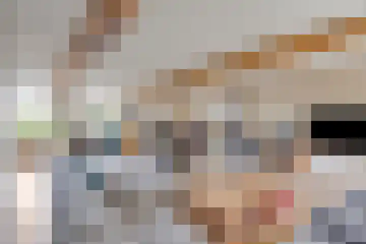 Pandelaar 50 Gemert thumbnail 24