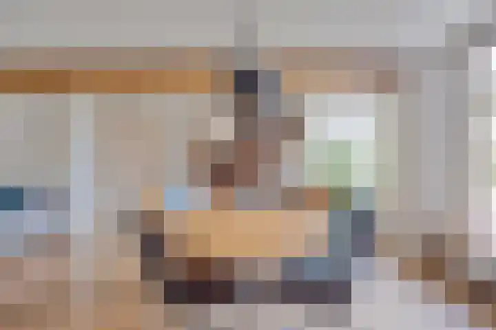 Pandelaar 50 Gemert thumbnail 26