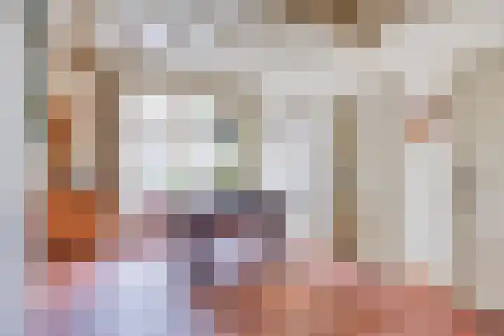 Pandelaar 50 Gemert thumbnail 29