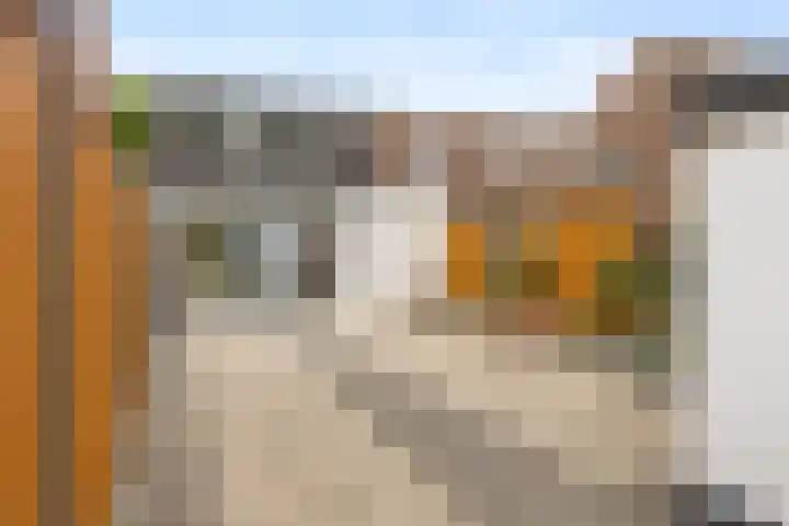 Pandelaar 50 Gemert thumbnail 32