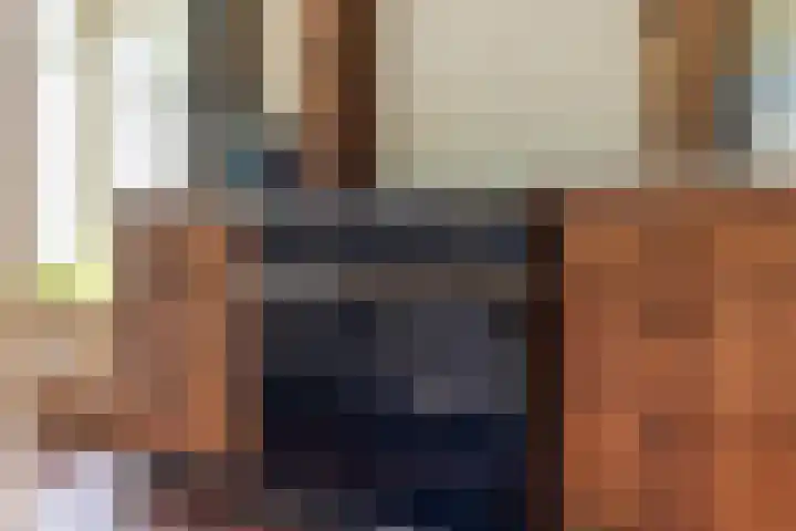Pandelaar 50 Gemert thumbnail 35