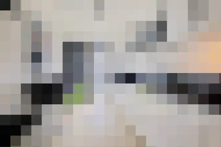 Pandelaar 50 Gemert thumbnail 37