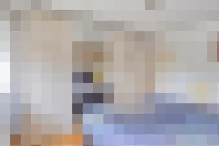 Pandelaar 50 Gemert thumbnail 37