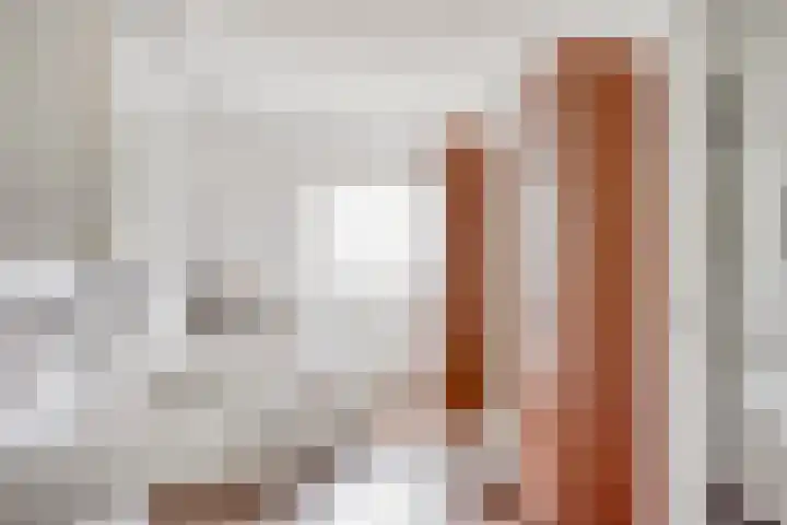 Pandelaar 50 Gemert thumbnail 38