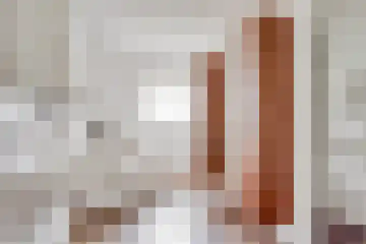 Pandelaar 50 Gemert thumbnail 40