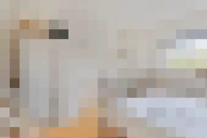 Pandelaar 50 Gemert thumbnail 41