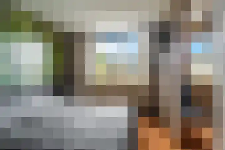 Pandelaar 50 Gemert thumbnail 43