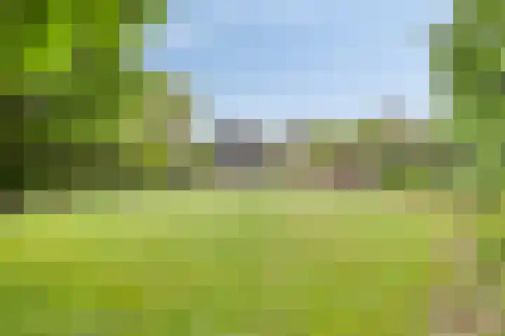 Pandelaar 50 Gemert thumbnail 5